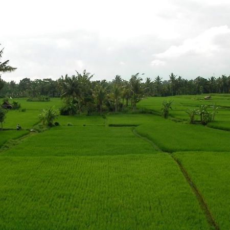 Green Field Hotel And Bungalow Ubud  Luaran gambar