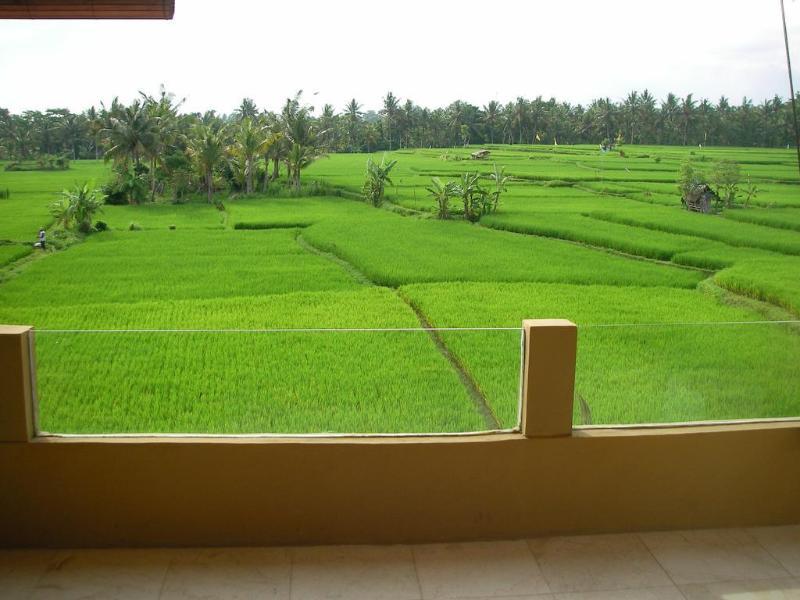 Green Field Hotel And Bungalow Ubud  Luaran gambar