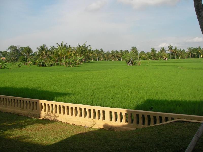 Green Field Hotel And Bungalow Ubud  Luaran gambar