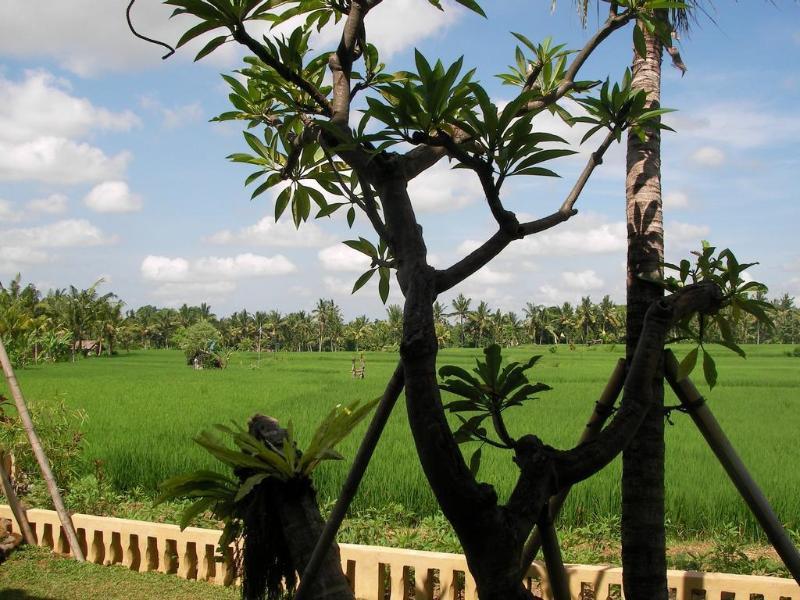 Green Field Hotel And Bungalow Ubud  Luaran gambar